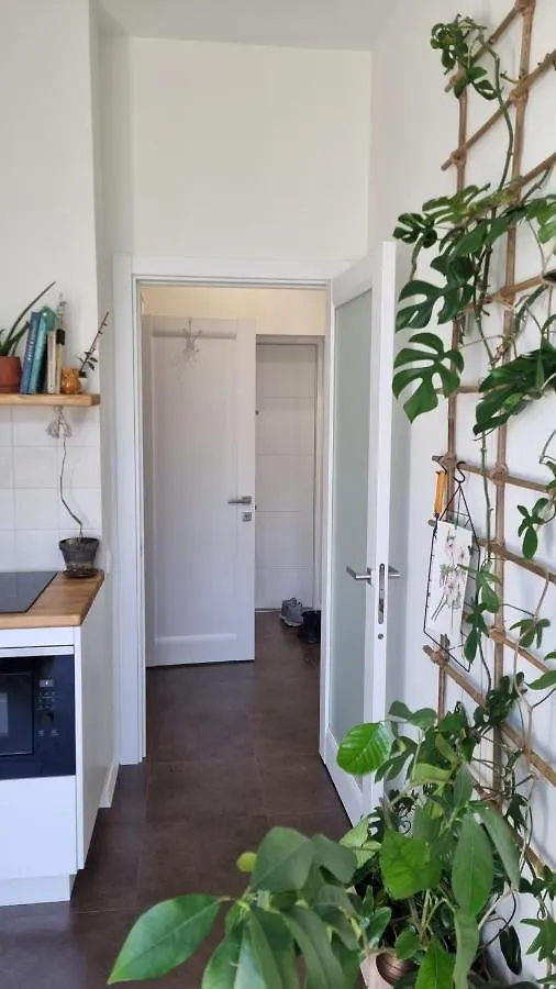 Kyiv Jungle Apartment