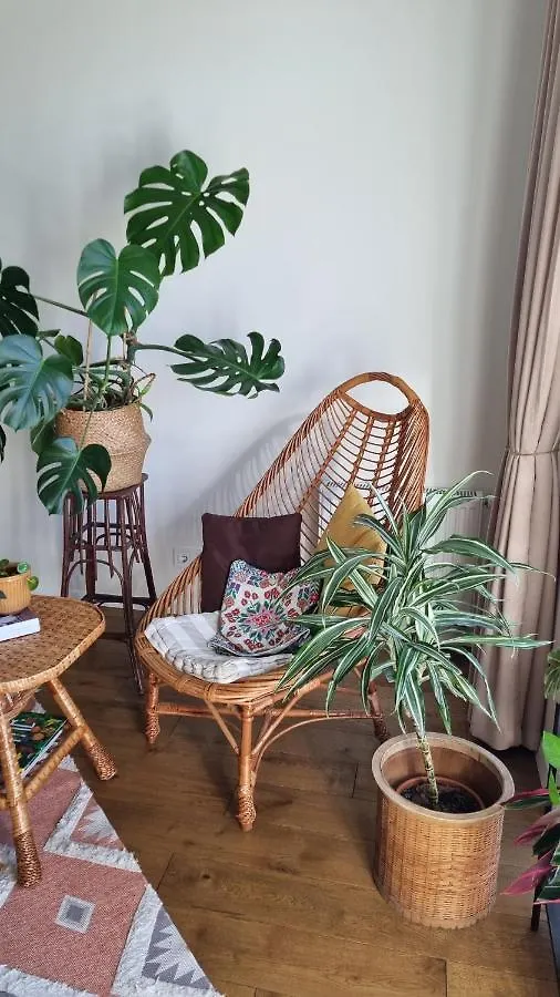 Kyiv Jungle Apartment
