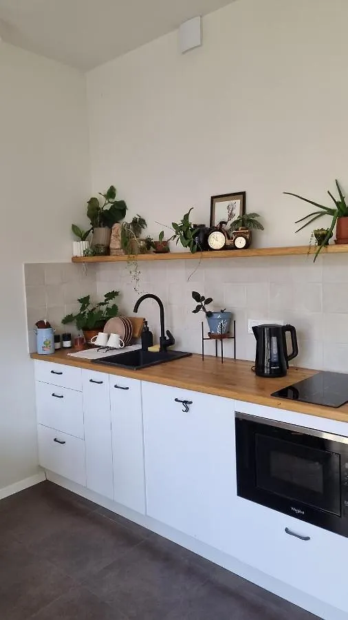 Kyiv Jungle Apartment