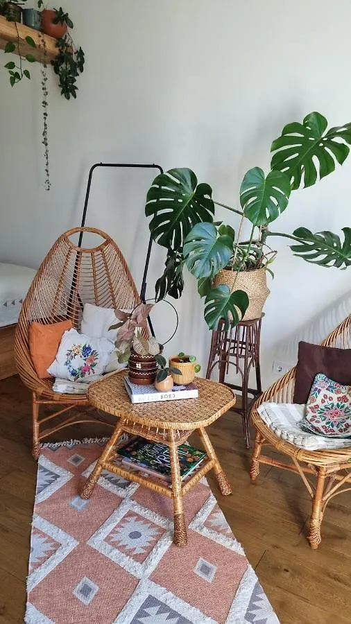 Kyiv Jungle Apartment