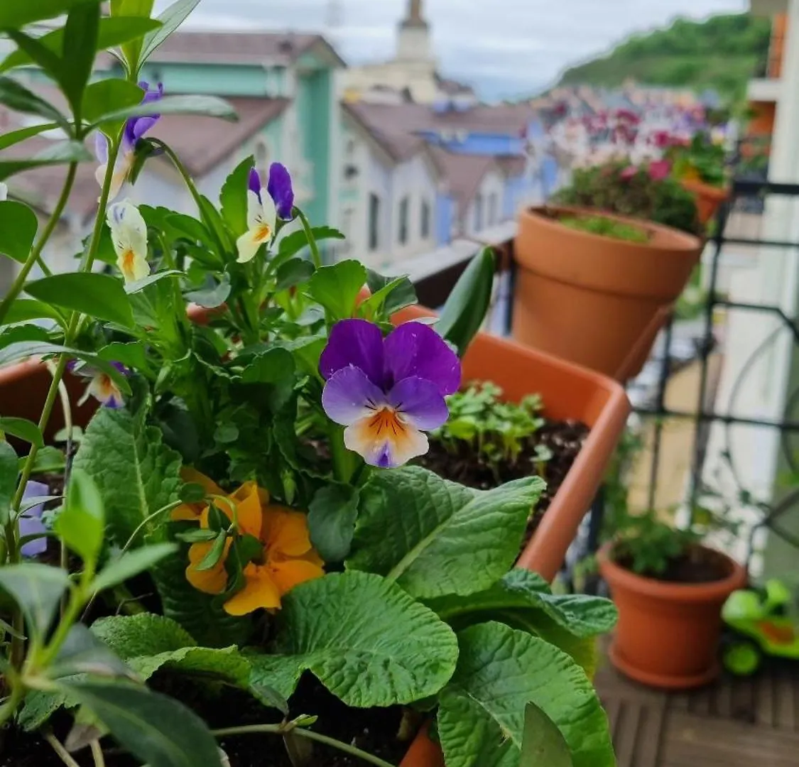 Kyiv Jungle Apartment Ukraine