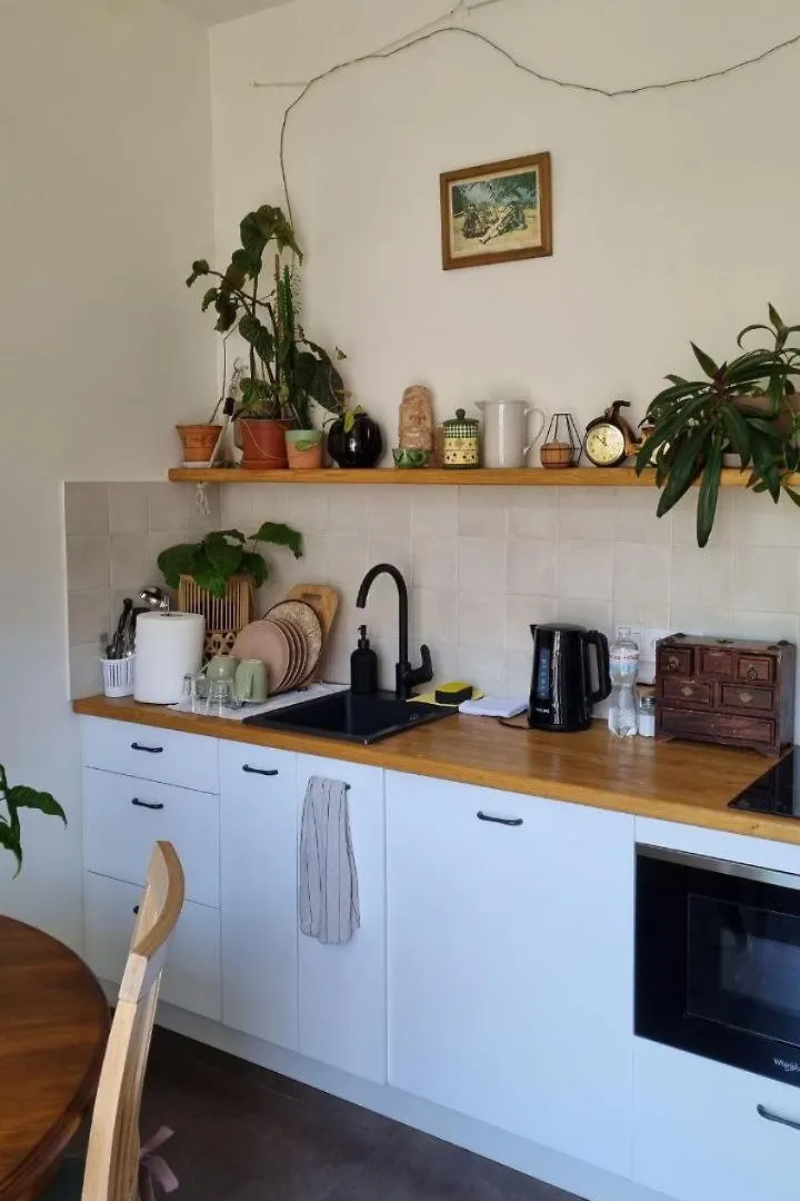 Kyiv Jungle Apartment