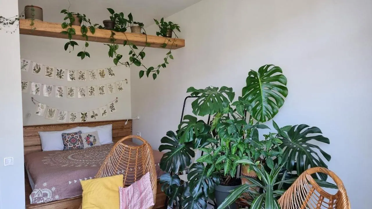 Kyiv Jungle Apartment location