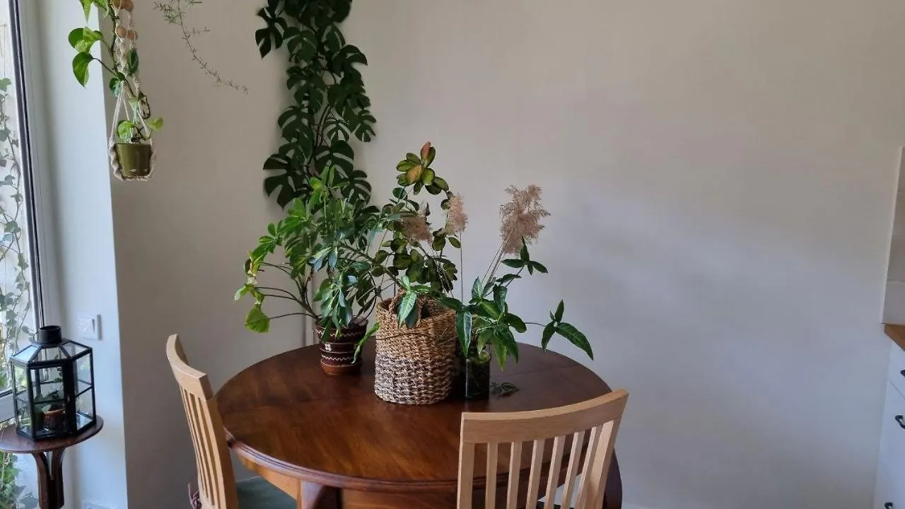 Kyiv Jungle Apartment