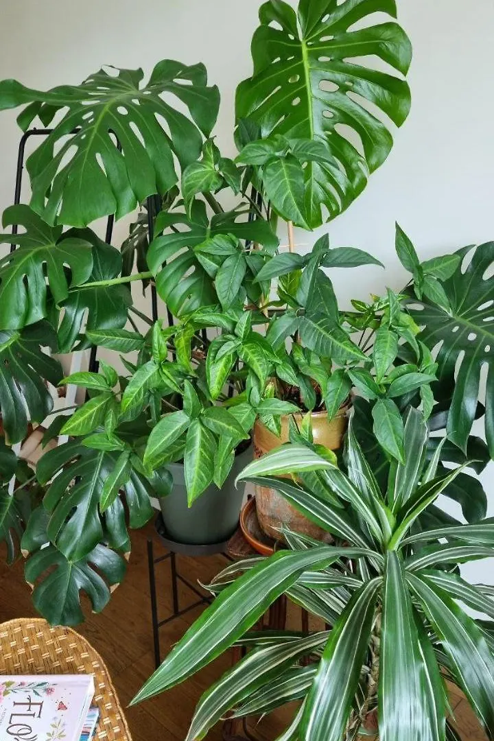 Kyiv Jungle Apartment